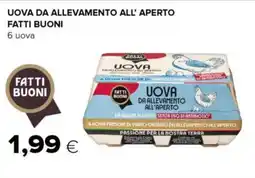 Tigre Uova da allevamento all'aperto FATTI BUONI offerta