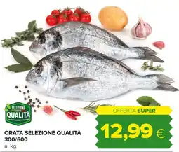 Tigre Orata selezione qualità 300/600 offerta