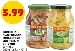 PENNY Carciofini alla paesana, funghi misti con porcini ORTOMIO sott'olio offerta