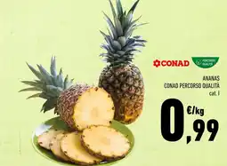Conad Ananas CONAD PERCORSO QUALITÀ offerta