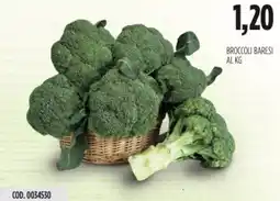 Carico Cash & Carry Broccoli baresi offerta