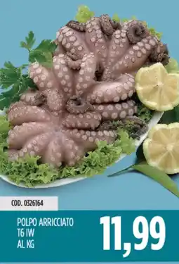 Carico Cash & Carry POLPO ARRICCIATO T6IW offerta
