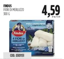 Carico Cash & Carry Findus fiori di merluzzo offerta