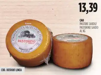 Carico Cash & Carry Cao pastore sardo/ pastorino sardo offerta