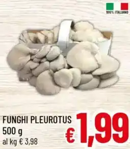 A&O Funghi pleurotus offerta