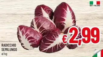 Radicchio semilungo