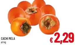 A&O Cachi mela offerta