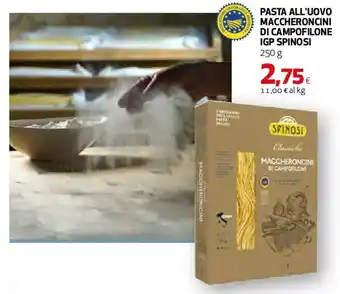 Pasta all'uovo maccheroncini di campofilone igp spinosi