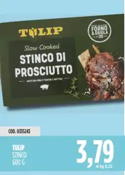Carico Cash & Carry Tulip stinco offerta