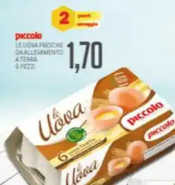 Supermercati Piccolo Piccolo le uova fresche da allevamento a terra offerta