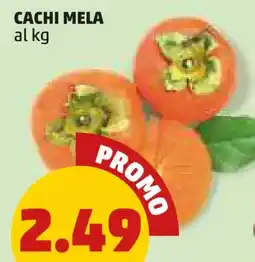 PENNY Cachi mela offerta