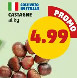 PENNY Castagne offerta