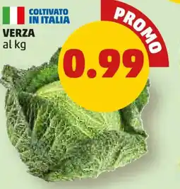 PENNY Verza offerta