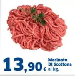 Orizzonte Supermercati Macinato DI Scottona offerta