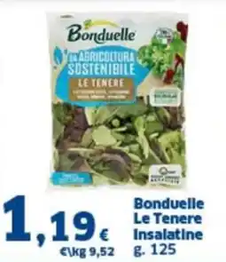 Orizzonte Supermercati Bonduelle Le Tenere Insalatine offerta