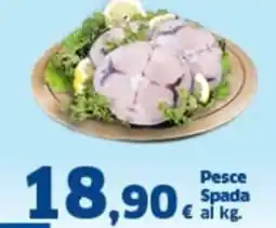 Orizzonte Supermercati Pesce Spada offerta