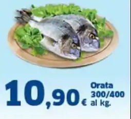 Orizzonte Supermercati Orata 300/400 offerta