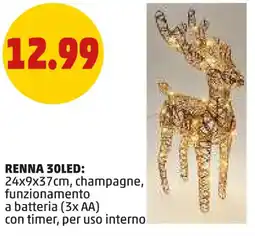 PENNY Renna 30led offerta
