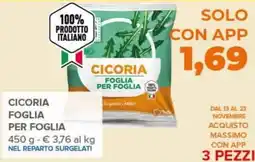 Todis Cicoria foglia per foglia offerta