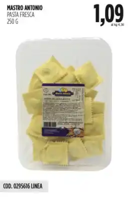 Carico Cash & Carry Mastro antonio pasta fresca offerta