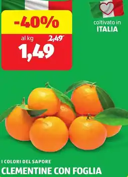 ALDI I colori del sapore clementine con foglia offerta