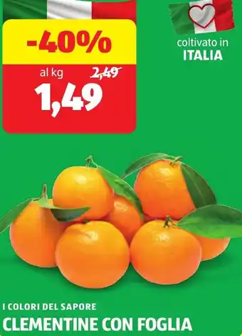 I colori del sapore clementine con foglia