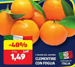 ALDI I colori del sapore clementine con foglia offerta