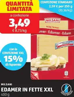 ALDI Milsani edamer in fette xxl offerta