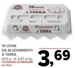 Todis 15 uova da allevamento a terra offerta