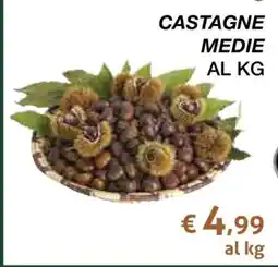 Coop CASTAGNE MEDIE offerta