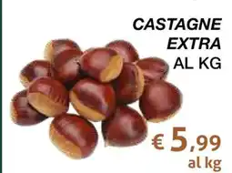 Coop CASTAGNE EXTRA AL KG offerta