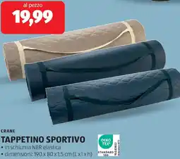 ALDI Crane tappetino sportivo offerta