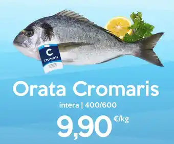 Orata Cromaris
