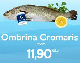 Iper Tosano Ombrina Cromaris offerta
