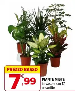 Iperal Piante miste offerta