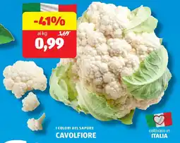 ALDI I colori del sapore cavolfiore offerta