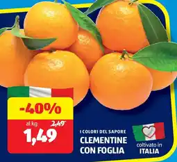 ALDI I colori del sapore clementine con foglia offerta