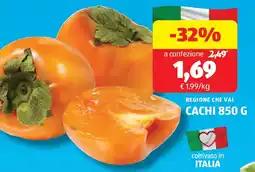 ALDI Regione che vai cachi offerta