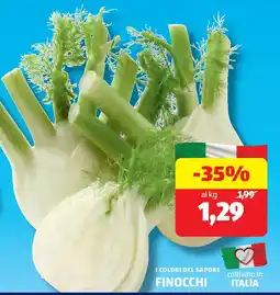 ALDI I colori del sapore finocchi offerta