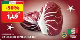 ALDI Regione che vai radicchio di verona igp offerta