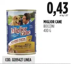 Carico Cash & Carry Miglior cane bocconi offerta