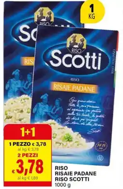 Il Gigante Risaie padane riso SCOTTI offerta