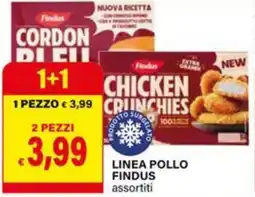 Il Gigante Linea pollo FINDUS offerta