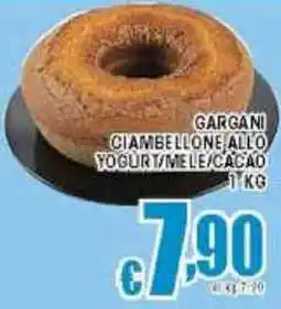 Sacoph Gargani ciambellone allo yogurt/mele/cacao offerta