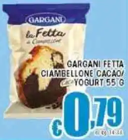 Sacoph Gargani fetta ciambellone cacao/ yogurt offerta