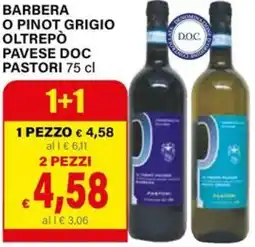 Il Gigante Barbera o pinot grigio oltrepò pavese doc pastori offerta