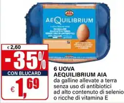 Il Gigante 6 uova aequilibrium AIA offerta