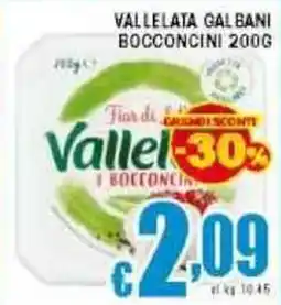 Sacoph Vallelata galbani bocconcini offerta