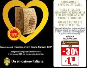 Il Gigante Grana padano dop offerta