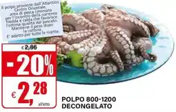 Il Gigante Polpo 800-1200 decongelato offerta